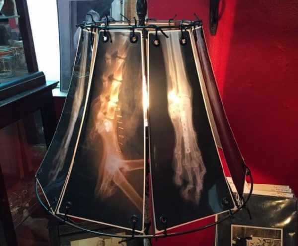 Самодельный плафон для настольной лампы из рентгеновских снимков
