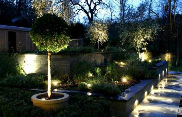 Светильники для подсветки растений на дачном участке