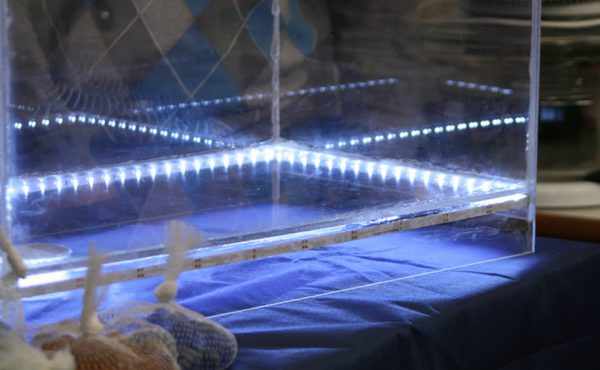 Подсветка аквариума с помощью влагозащищеной LED-ленты