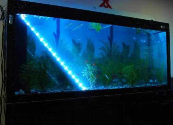 Декоративная подсветка аквариума