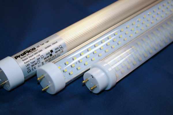 Светодиодные лампы выпускают для любых разъемов и цоколей