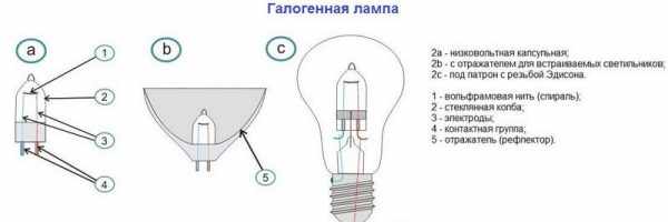 Классификация галогенных ламп по типу корпуса